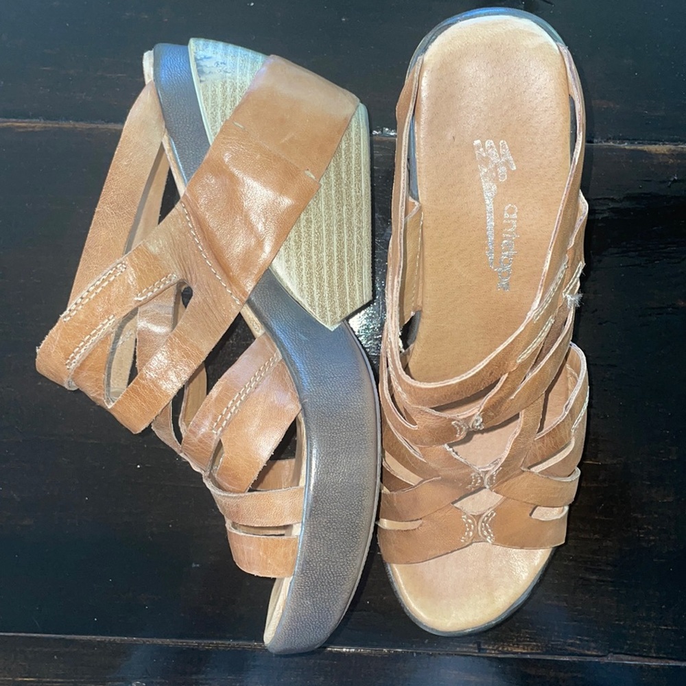 Antelope Shoes EUC (see details)